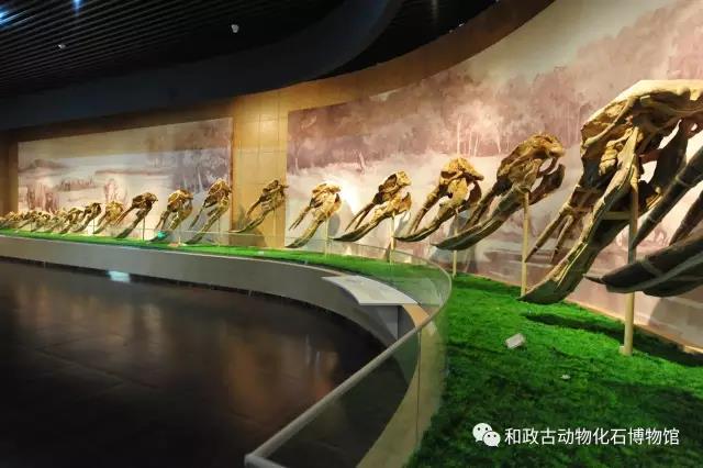 微信图片_20191127101243